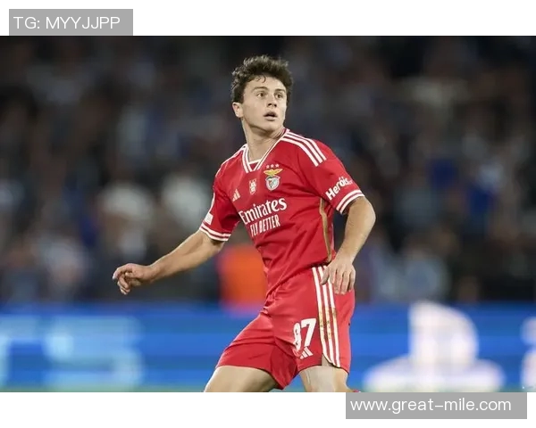 若昂内维斯的足球之路：从青涩少年到职业球员的成长历程